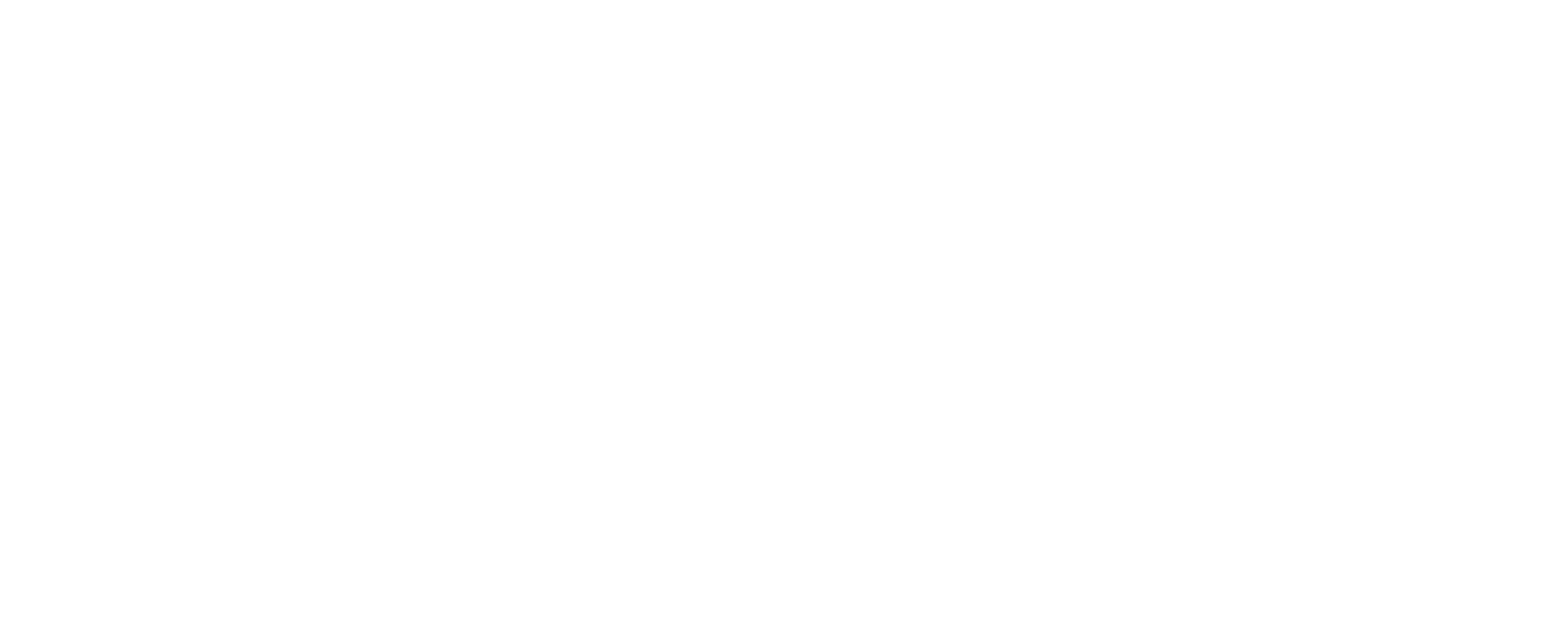 Argo MSP Consulting